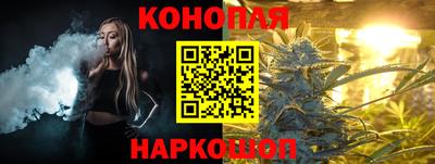 спиды Сланцы