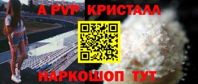 спиды Сланцы