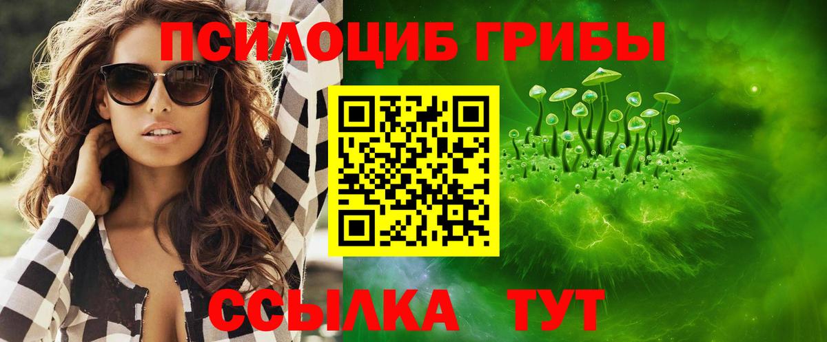 Галлюциногенные грибы Psilocybe Нефтекумск
